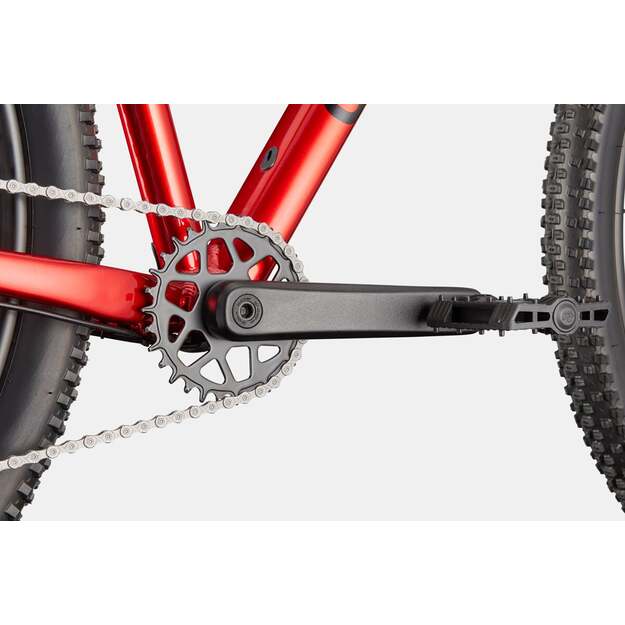 Dviratis CANNONDALE TRAIL 2 (C26065U20/MRD) 4