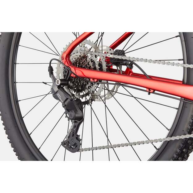 Dviratis CANNONDALE TRAIL 2 (C26065U20/MRD) 5