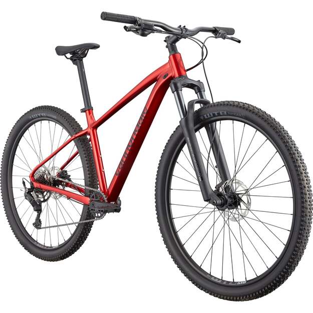 Dviratis CANNONDALE TRAIL 2 (C26065U20/MRD) 1