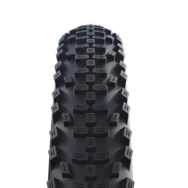 Padanga Schwalbe Smart Sam Performance 29  x 2.25  (57-622) // E-25, kamerinė, ruda sienelė 1
