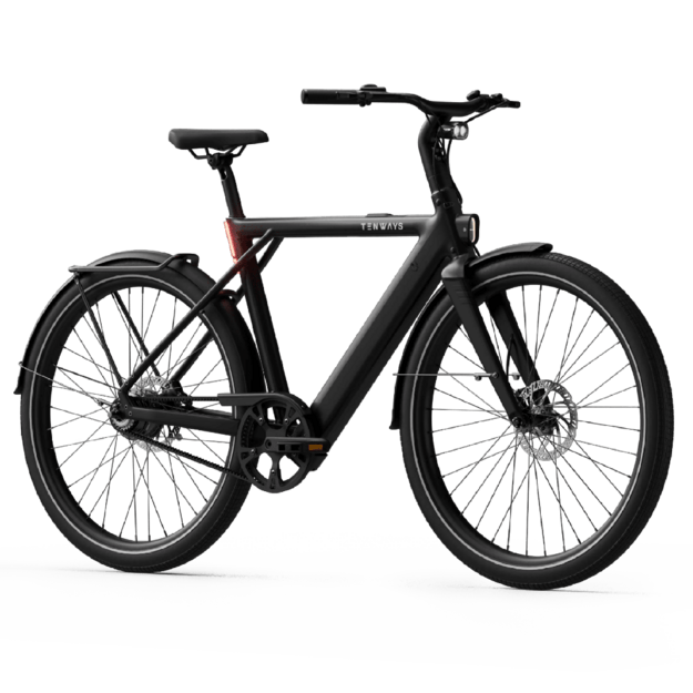 Elektrinis dviratis TENWAYS CGO009 (juodos spalvos) V1 1