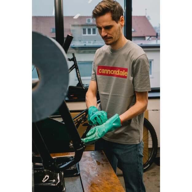 CANNONDALE LIFESTYLE T-SHIRT MGR/ORC/PYL 2