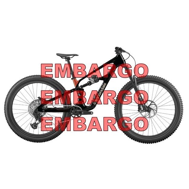 CANNONDALE BAD HABIT 1 (C2311GU10/RAW)