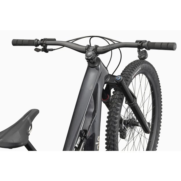 CANNONDALE BAD HABIT 1 (C2311GU10/RAW)