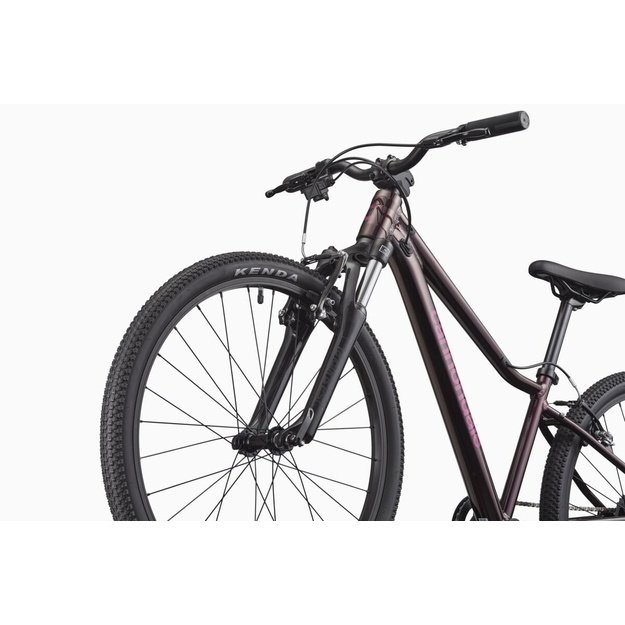 CANNONDALE TRAIL 24  (C5210GU20/RPP)