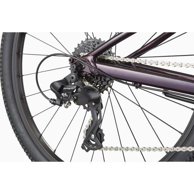 CANNONDALE TRAIL 24  (C5210GU20/RPP)