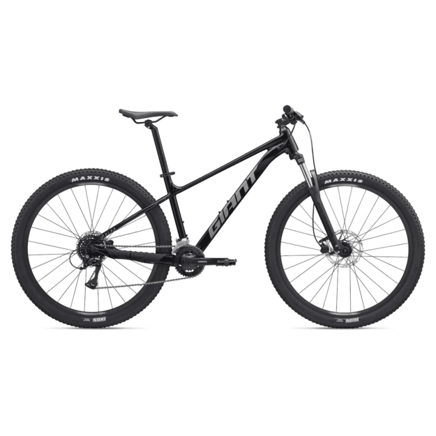 Dviratis GIANT Talon 3, 29  Panther