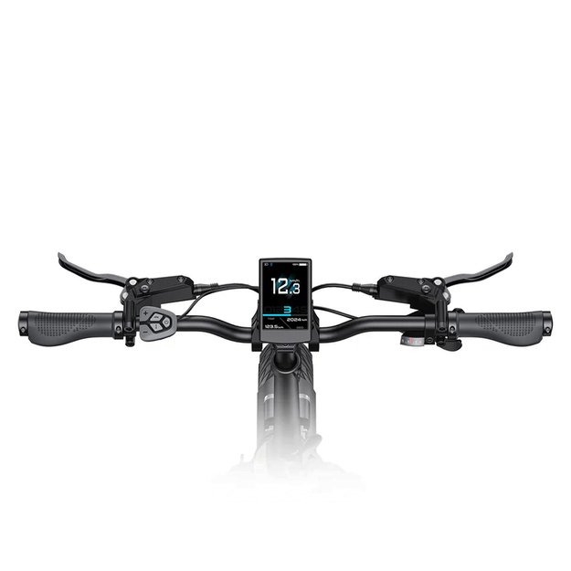 Elektrinis sulankstomas Engwe L20 3.0 Pro 20  // 7G (juoda) 5