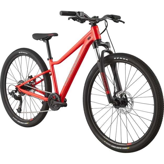 Dviratis CANNONDALE TRAIL 26  (C51101U30/RRD) 1