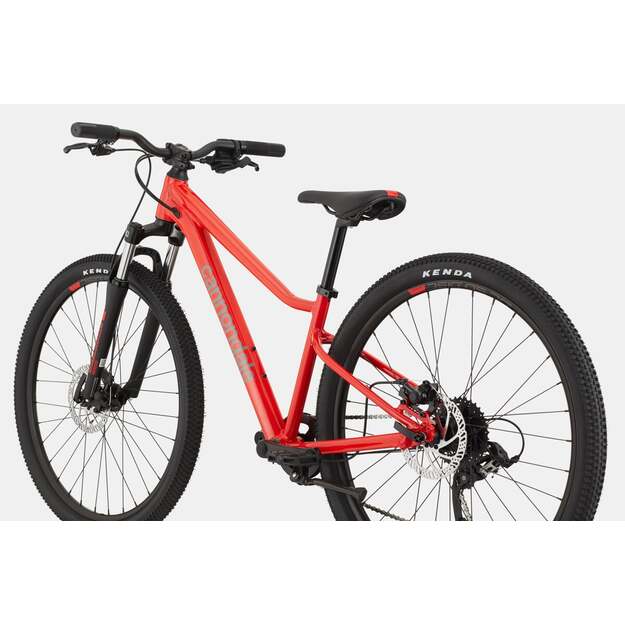 Dviratis CANNONDALE TRAIL 26  (C51101U30/RRD) 2