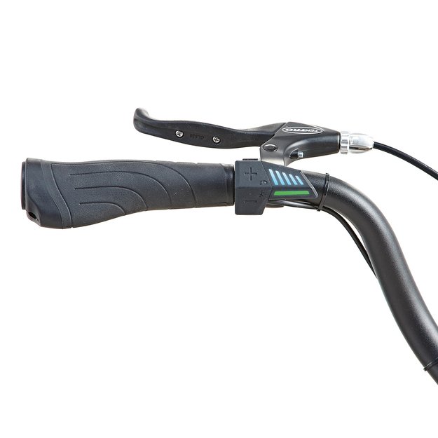 Elektrinis Prophete Geniesser 1.0 28  // N3 dydis 19  (49 cm) (pilka) 3