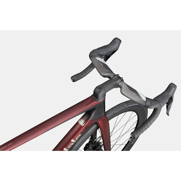 Dviratis CANNONDALE SUPER SIX EVO 3 (C1120GU10/CHL) 4
