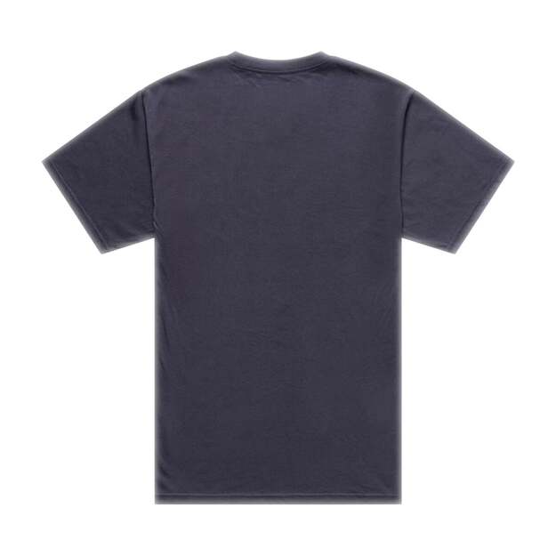 TLD SHORT SLEEVE TEE PORTRAIT CARBON (70174005) 2