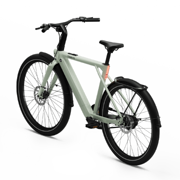 Elektrinis dviratis TENWAYS CGO009 (žalios spalvos) V1 2