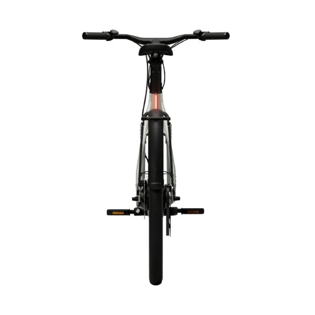 Elektrinis dviratis TENWAYS CGO009 (žalios spalvos) V1 4