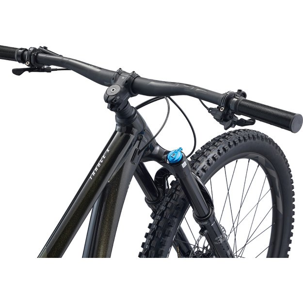 Kalnų dviratis GIANT Trance X 29 1, Panther