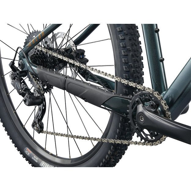 Dviratis GIANT Talon 2, 29  Asfalto žalias
