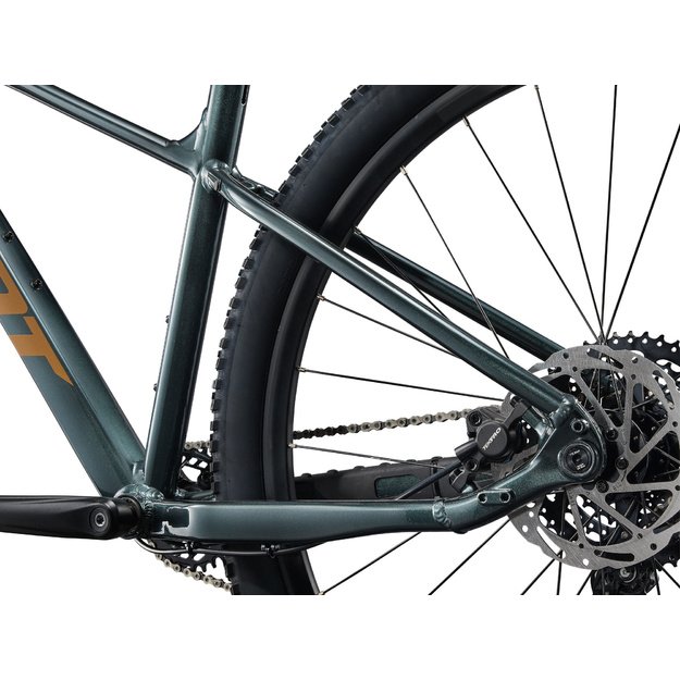 Dviratis GIANT Talon 2, 29  Asfalto žalias