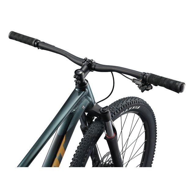 Dviratis GIANT Talon 2, 29  Asfalto žalias