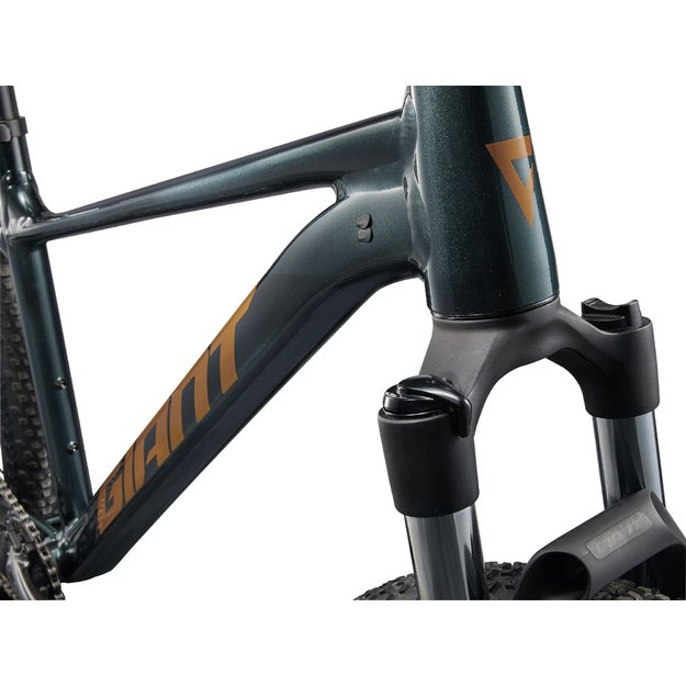 Dviratis GIANT Talon 2, 29  Asfalto žalias
