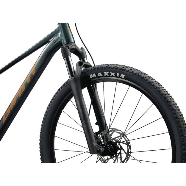 Dviratis GIANT Talon 2, 29  Asfalto žalias