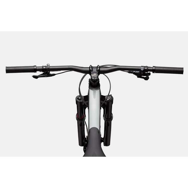 Pilnos amortizacijos dviratis CANNONDALE HABIT 3 (C23301U10/GRY) 3