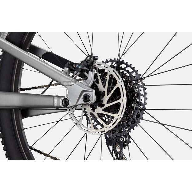Pilnos amortizacijos dviratis CANNONDALE HABIT 3 (C23301U10/GRY) 6