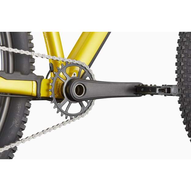 Dviratis CANNONDALE HABIT HT 2 (C26085U10/PYW) 5
