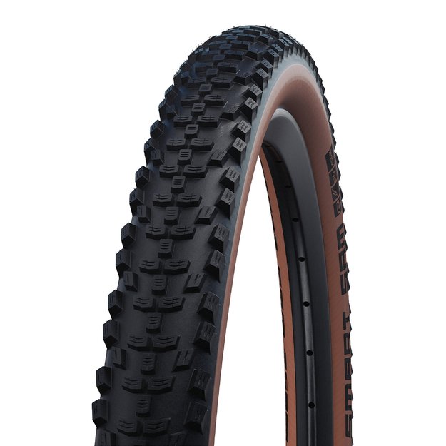 Padanga Schwalbe Smart Sam Performance Addix 29  x 2.60  (65-622) // E-25, nelankstoma, HS624, ruda sienelė