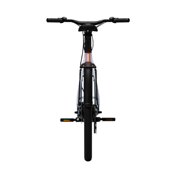 Elektrinis dviratis TENWAYS CGO009 (šaltos mėlynos spalvos) V1 4