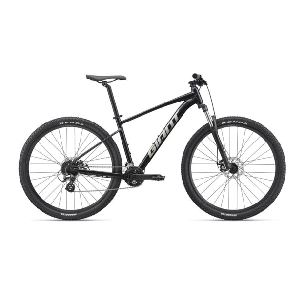 Dviratis GIANT Talon 29 4, metalinis juodas