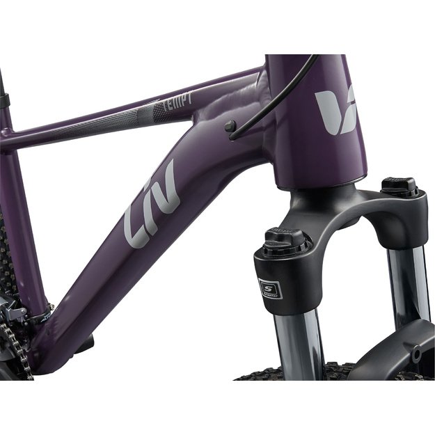 Moteriškas dviratis LIV Tempt 3. 29  Tyrian Purple