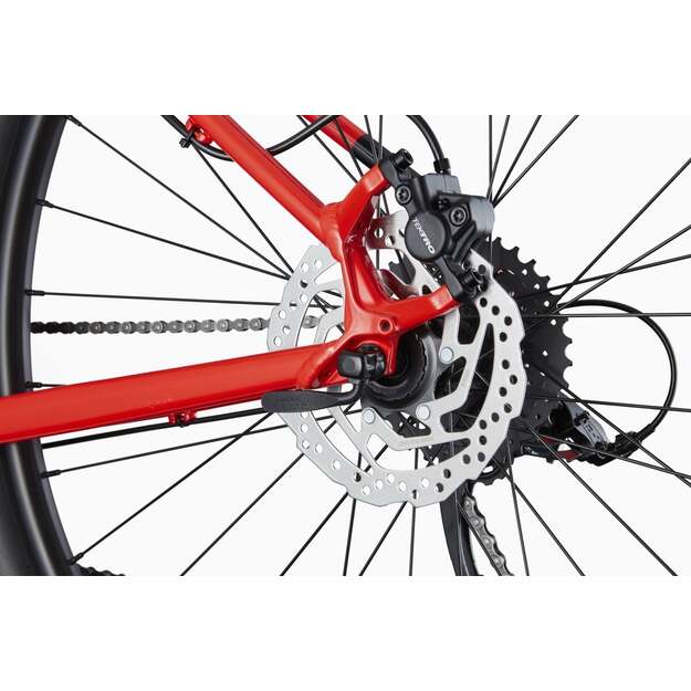 Dviratis CANNONDALE TRAIL 29  7 /XS-S 27,5  M-XL 29 / (C26751M30/RRD) 5
