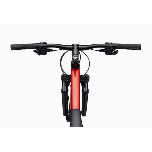 Dviratis CANNONDALE TRAIL 29  7 /XS-S 27,5  M-XL 29 / (C26751M30/RRD) 3