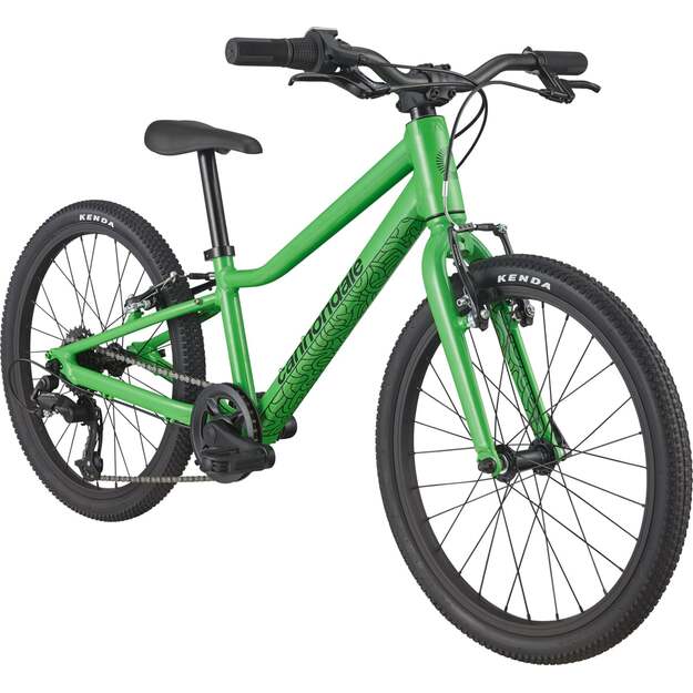 Vaikiškas dviratis CANNONDALE QUICK 20  (C51752U30/GRN) 1