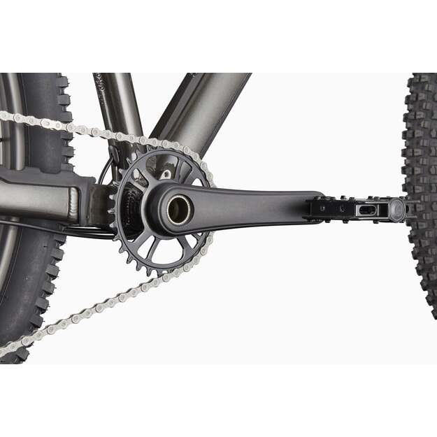 Dviratis CANNONDALE HABIT HT 2 (C26085U20/OBS) 4