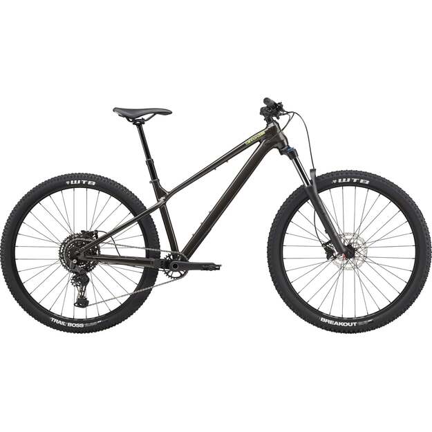 Dviratis CANNONDALE HABIT HT 2 (C26085U20/OBS) 5