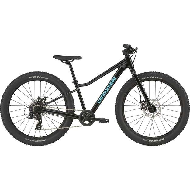 Vaikiškas dviratis CANNONDALE KIDS TRAIL PLUS 24  (C5202GU20/BPL) 1