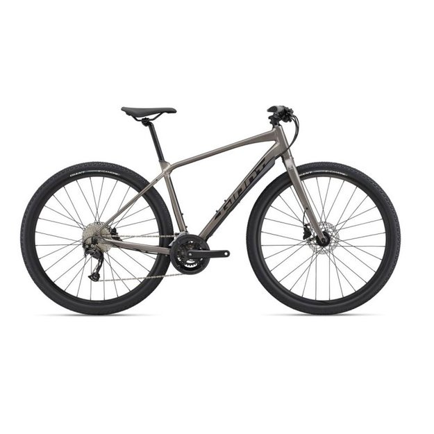 Dviratis GIANT ToughRoad SLR 2, metalinis