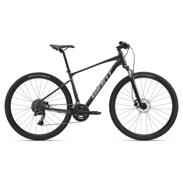 GIANT Roam 2 dviratis, asfalto žalias