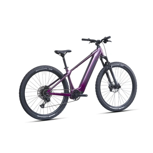 Elektinis dviratis Crussis e-Fionna AX 9.12-M2(600Wh)