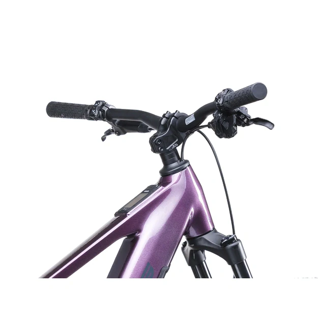 Elektinis dviratis Crussis e-Fionna AX 9.12-M2(600Wh)