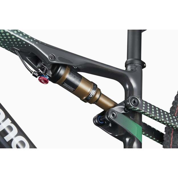 Dviratis CANNONDALE SCALPEL 29  LAB71 TEAM (C24035U10/REP) 7
