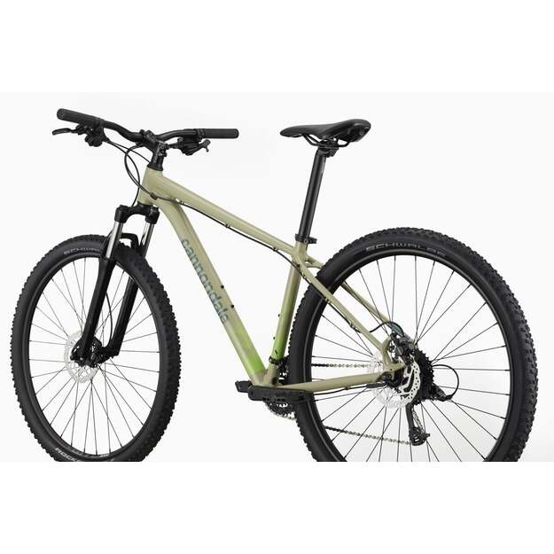 Dviratis CANNONDALE TRAIL 29  8 /XS-S 27,5  M-XL 29 / (C26851M30/QSD) 2