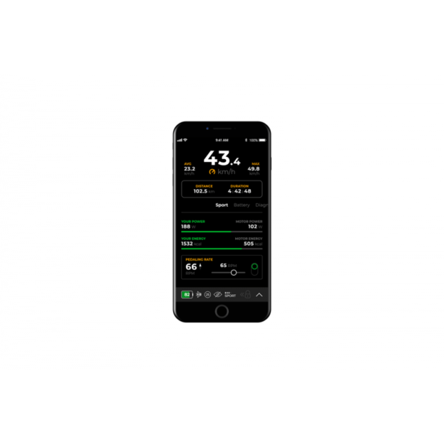 SpeedBox 3.1 B. Tuning čipas Giant varikliams (RideControl Go) 5