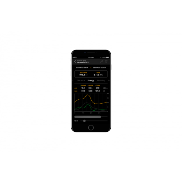 SpeedBox 3.1 B. Tuning čipas Giant varikliams (RideControl Go) 6