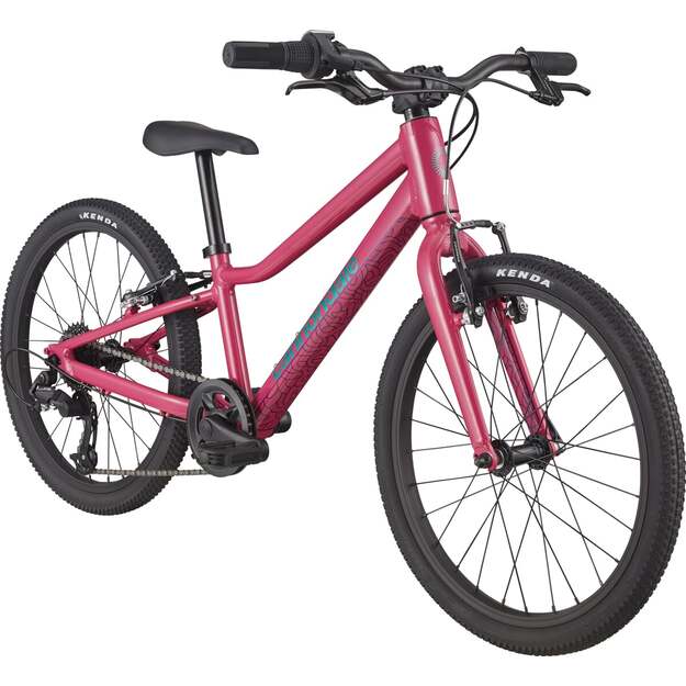 Vaikiškas dviratis CANNONDALE QUICK 20  (C51752U20/ORC) 1