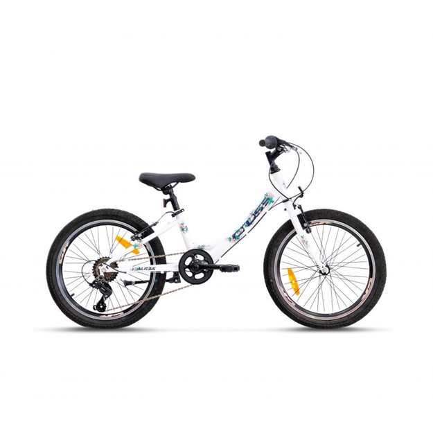 CROSS Alissa 20  // 6G, dydis 10  (25 cm) (balta)