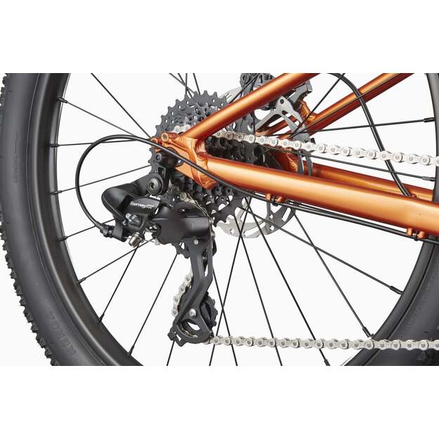 Vaikiškas dviratis CANNONDALE KIDS TRAIL PLUS 24  (C5202GU10/FOR) 5