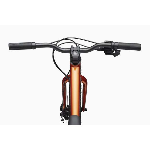 Vaikiškas dviratis CANNONDALE KIDS TRAIL PLUS 24  (C5202GU10/FOR) 4